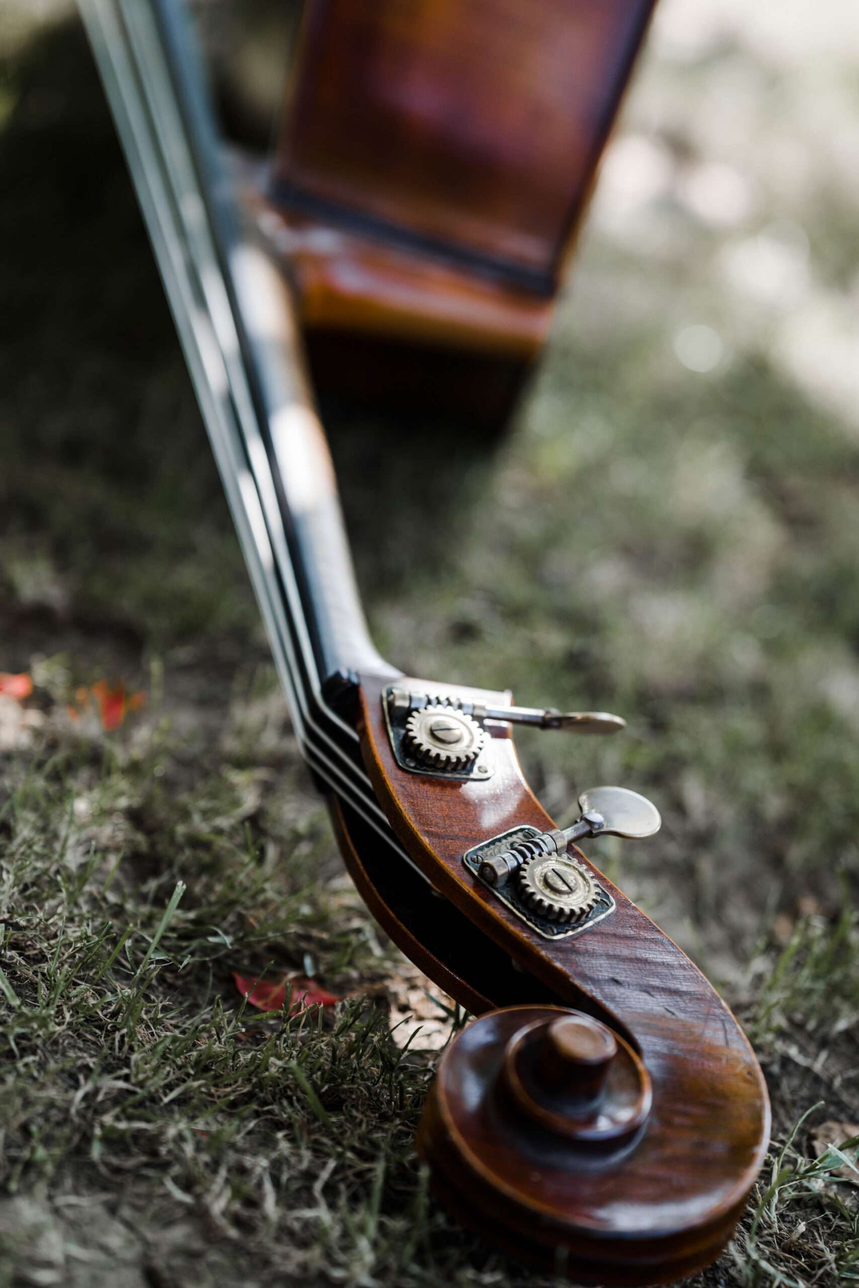 Musik für Geburtstagsfeier